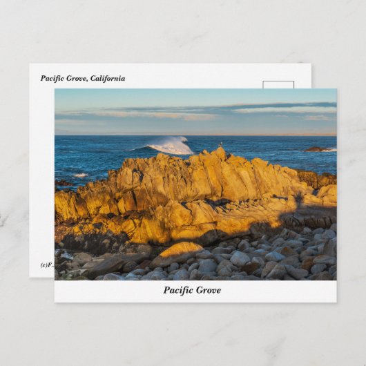 Carte postale Pacific Grove (Devant / Derrière)