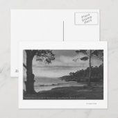 Carte Postale Pacific Grove, CA - Pebble Beach sur 17 miles (17, (Devant / Derrière)