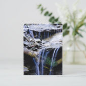 Carte Postale Pacifique (Debout devant)