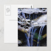 Carte Postale Pacifique (Devant / Derrière)