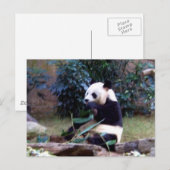 Carte Postale Pacifique (Devant / Derrière)