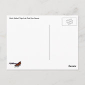 Carte Postale Pacifique Nord-Ouest Tidepool avec des Anénomes ve (Dos)