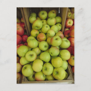 Carte Postale Pack Apple