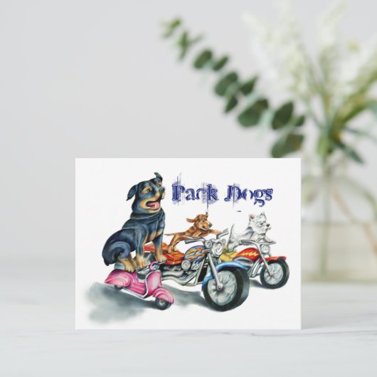 Carte Postale Pack Chiens (Debout devant)