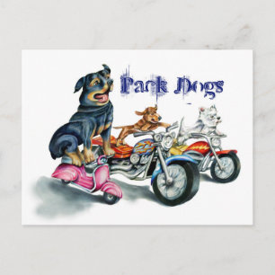 Carte Postale Pack Chiens