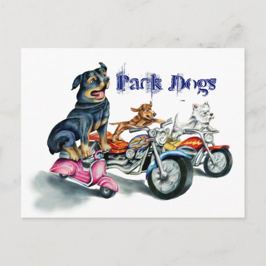 Carte Postale Pack Chiens (Devant)