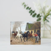 Carte Postale Pack de chevaux vers 1878 (Debout devant)