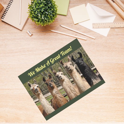 Carte Postale Pack de joyeuses lamas ensemble