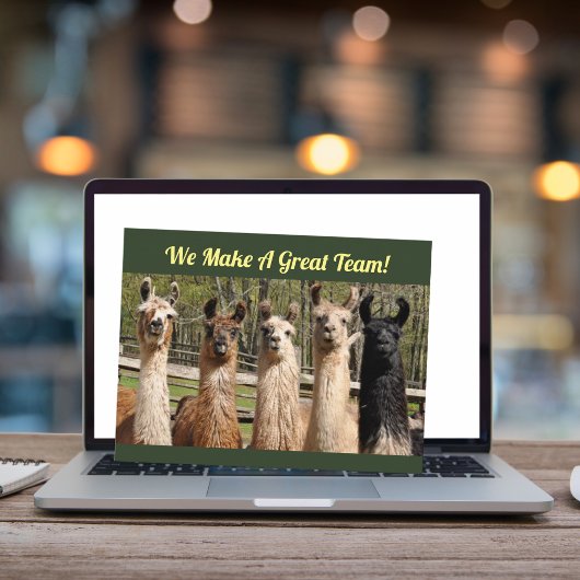 Carte Postale Pack de joyeuses lamas ensemble