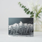 Carte Postale Pack Wolf (Debout devant)
