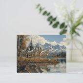 Carte Postale Pack Wolf au bord du lac (Debout devant)