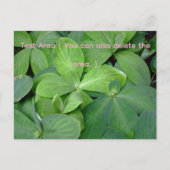 Carte Postale Packed with greenery (Devant)