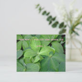 Carte Postale Packed with greenery (Debout devant)