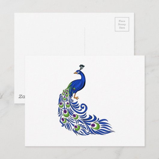 Carte Postale Pacock (Devant / Derrière)