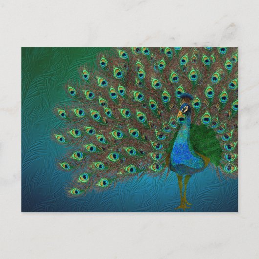 Carte Postale Pacock (Devant)