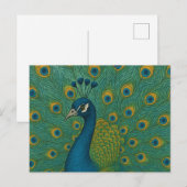 Carte Postale Pacock (Devant / Derrière)