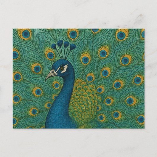 Carte Postale Pacock (Devant)