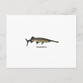 Carte Postale Paddle (Devant)