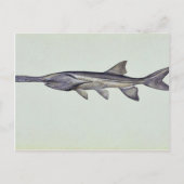 Carte Postale Paddle (Devant)