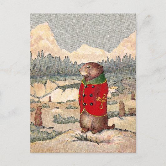 Carte Postale Paddy Paws dans Prairie Dog Town (Devant)