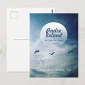 Carte Postale Padre Island National Seashore Pélicans Brown (Devant / Derrière)