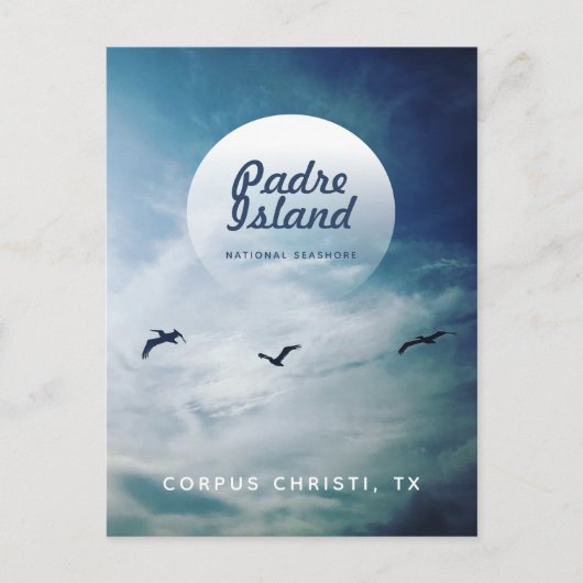 Carte Postale Padre Island National Seashore Pélicans Brown (Devant)