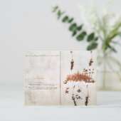 Carte Postale Page 15 d'un Herbarium (Debout devant)