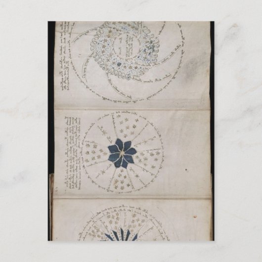 Carte Postale Page 68r du manuscrit Voynich. Cette trois pages (Devant)