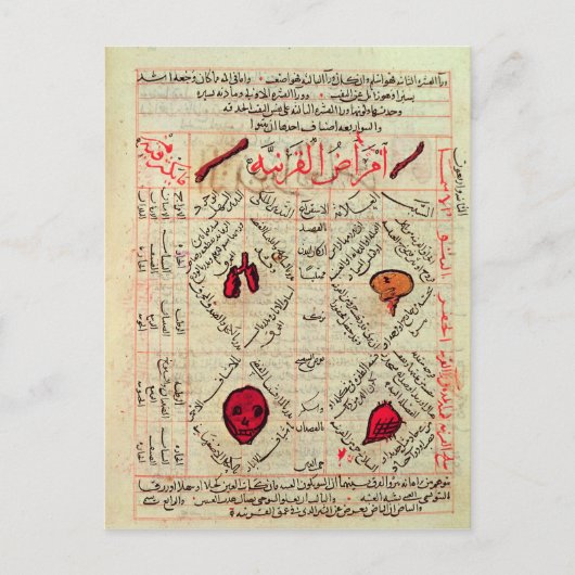 Carte Postale Page du 'Canon de Médecine' par Avicenna (Devant)