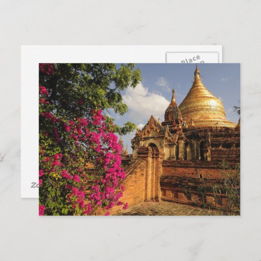 Carte Postale Pagode Dhamma Yazaka à Bagan (Pagan), Myanmar (Devant / Derrière)