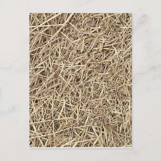 Carte Postale Paille (Devant)