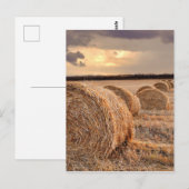 Carte postale Paille Bales (Devant / Derrière)