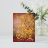 Carte postale Paillettes de Lumière d'Automne (Debout devant)