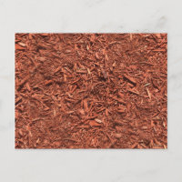 paillis détaillé de cèdre rouge pour paysagiste