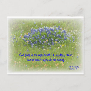 Carte Postale Pain quotidien