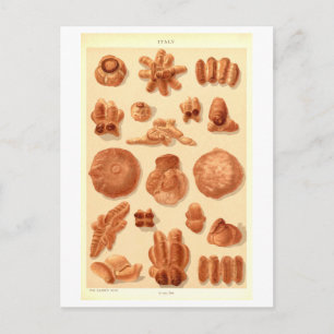 Carte Postale Pains anciens d'Italie