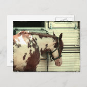 Carte Postale Paint Horse at Trailer (Devant / Derrière)