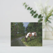 Carte Postale Paint Horse by the Forest Stream (Debout devant)