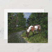 Carte Postale Paint Horse by the Forest Stream (Devant / Derrière)