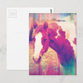 Carte Postale Paint Horse Grunge (Devant / Derrière)