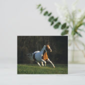 Carte Postale Paint Horse Running Fast (Debout devant)