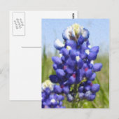 Carte Postale "Painted" Bluebonnet (Devant / Derrière)