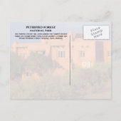 Carte Postale Painted Desert Inn, parc national de Petrified For (Dos)