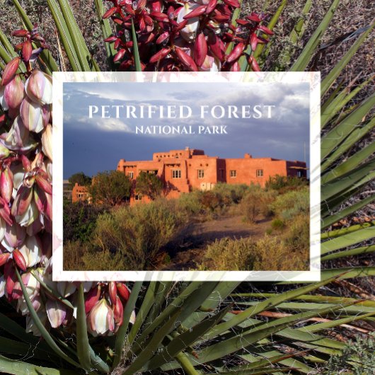 Carte Postale Painted Desert Inn, parc national de Petrified For