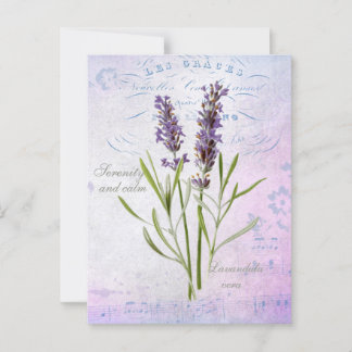 Carte Postale Painted Lavandula Vera Serenity et Calm