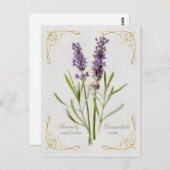 Carte Postale Painted Lavandula Vera Serenity et Calm (Devant / Derrière)