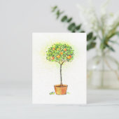 Carte Postale Painted watercolor citrus tree in pot (Debout devant)