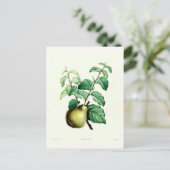 Carte Postale Paire (Debout devant)