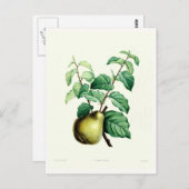 Carte Postale Paire (Devant / Derrière)