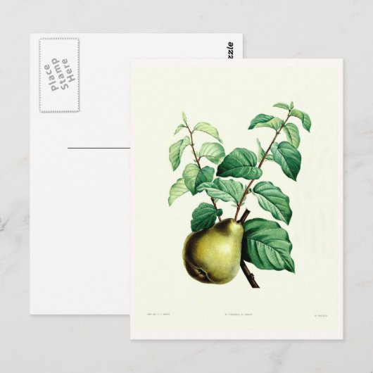 Carte Postale Paire (Devant / Derrière)